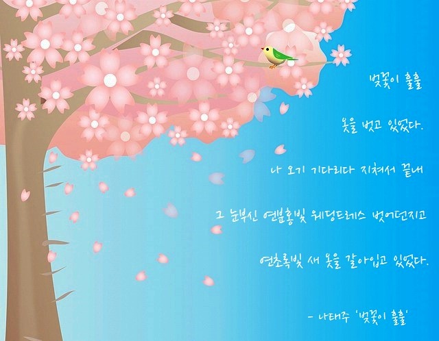 '벚꽃이 훌훌' 시 내용이 들어간 이미지