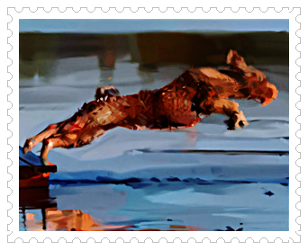 공인 품종이 되기까지