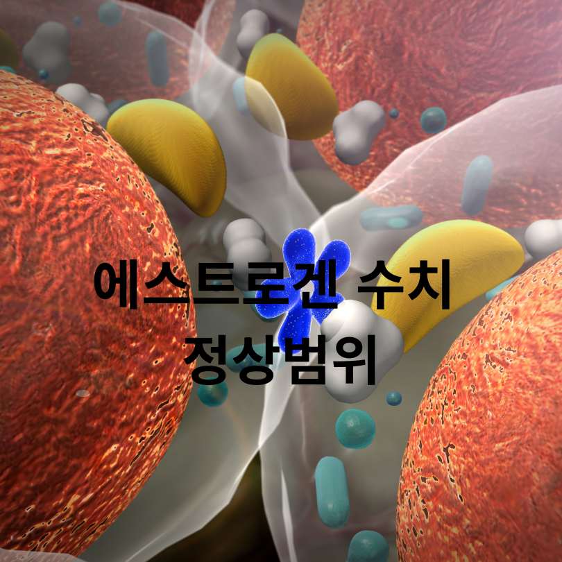 여성호르몬 수치 검사 정상범위와 결과 해석