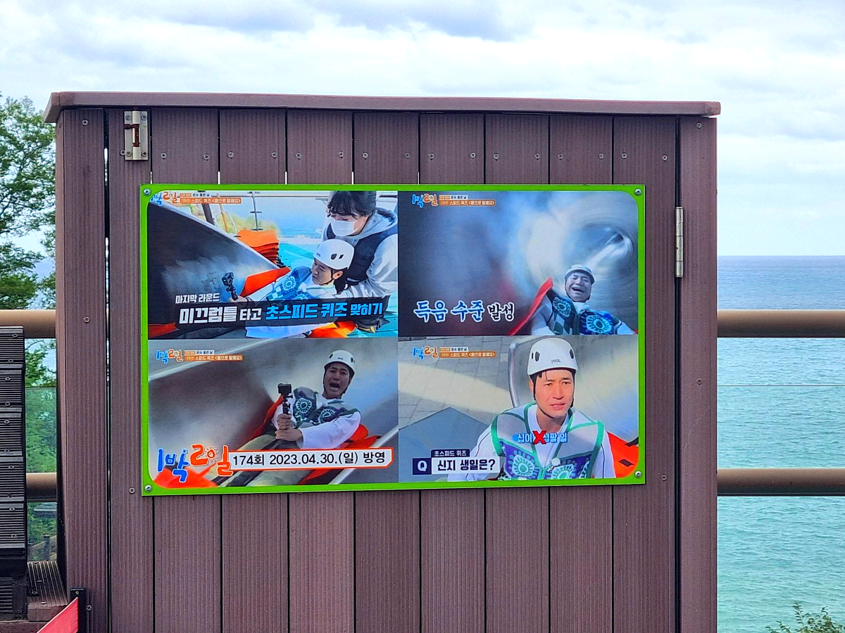 동해 묵호 가볼만한곳 도째비골 스카이밸리 총정리|입장료·전망·레포츠·스탬프투어