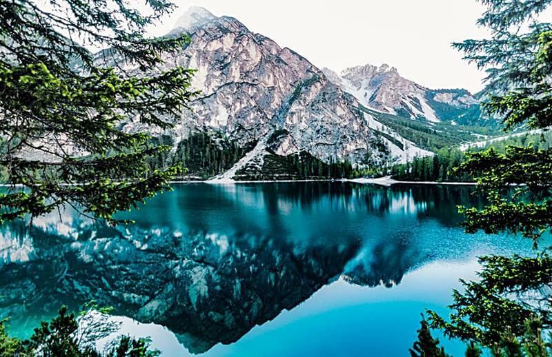 푸르른-숲과-호수의-모습