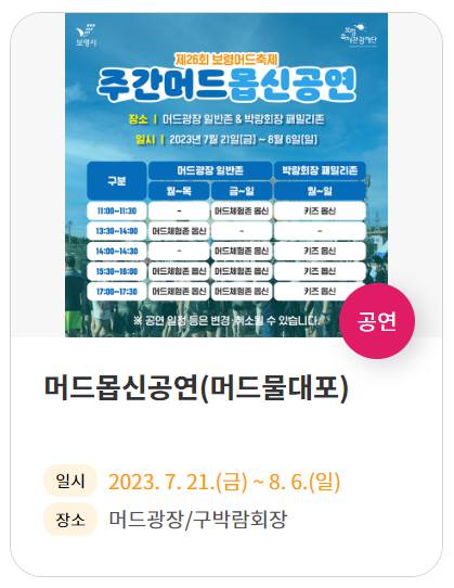 보령머드축제 기본정보