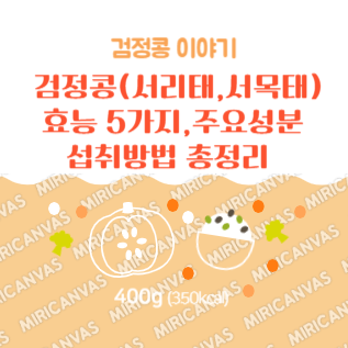 검정콩 효능 5가지 섭취방법 총정리 로고