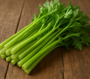 기관지에 좋은 음식