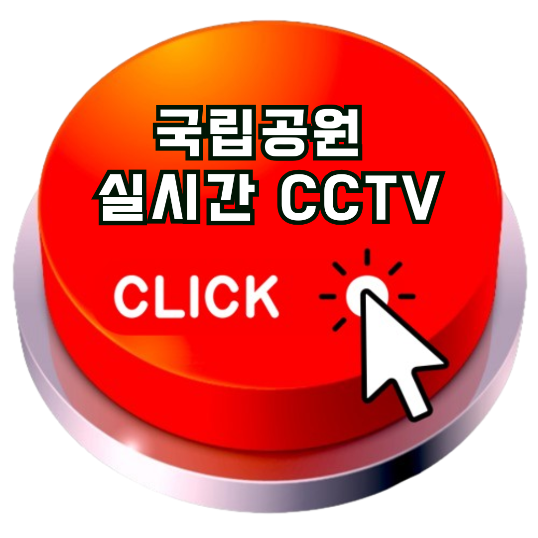 국립공원