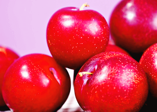 빨갛게 익은 탐스러운 자두들이 여러 개 모여있다. 표면은 반질반질하고 모양은 동그랗다.