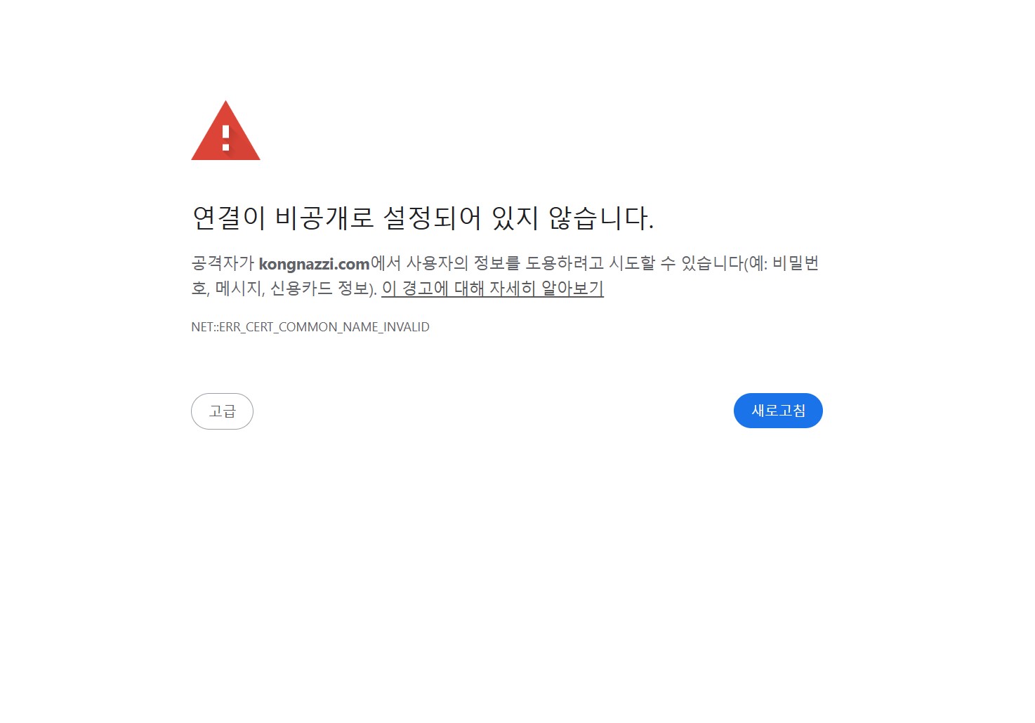 블로그-도메인-오류