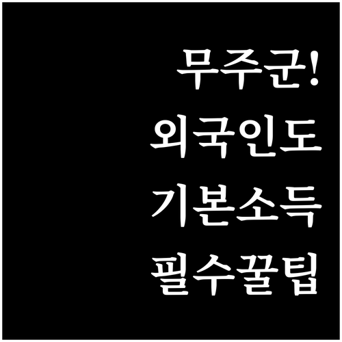 무주군 기본소득 외국인 대리 신청 방..