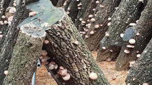 10월 전국축제 일정표