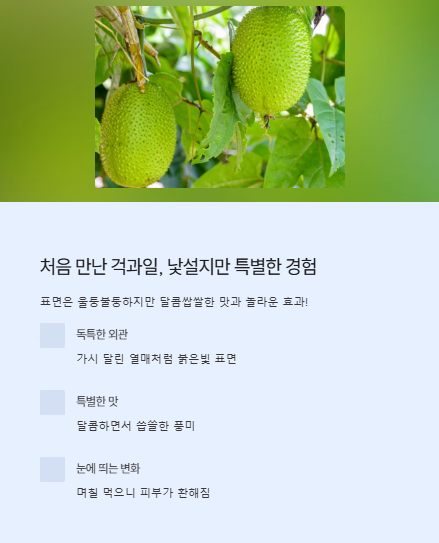 처음 만난 걱과일 낯설지만 특별한 경험