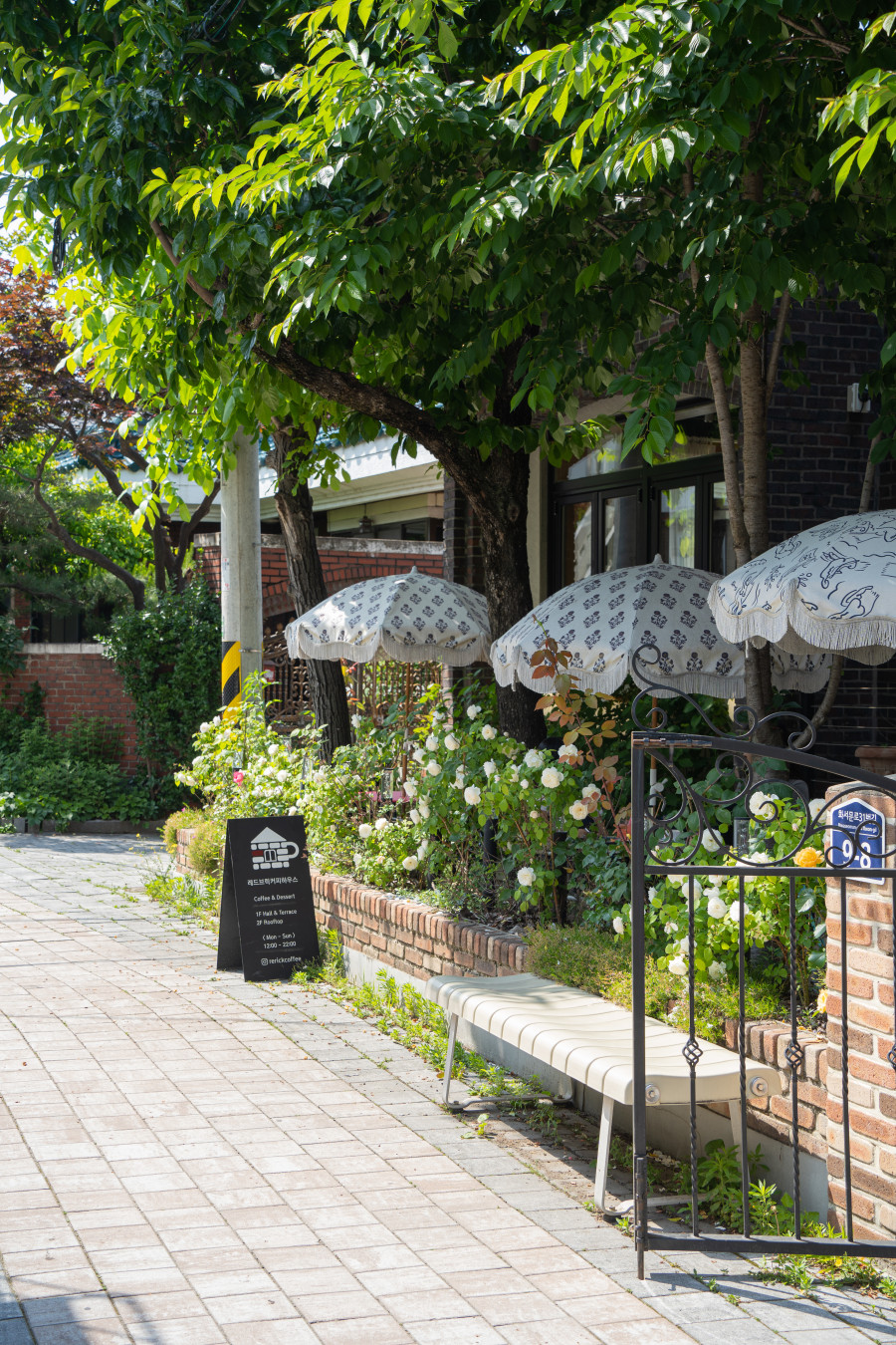 수원화성 행리단길 장미