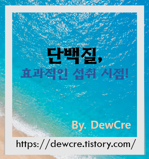 근육이 반응하는 시간, 운동 전후 단백질 섭취 타이밍의 모든 것