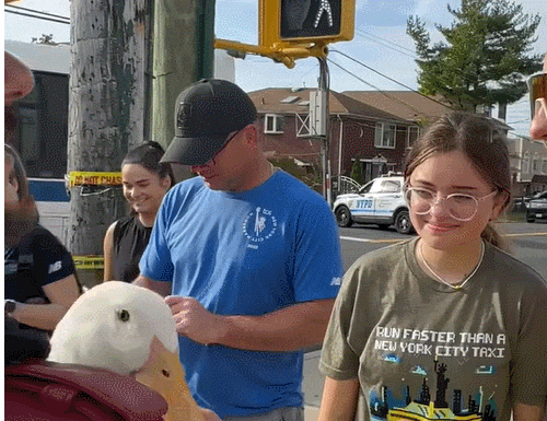 인기폭발! 마라톤 돕는 기특한 오리 VIDEO: Wrinkle the Duck Runs NYC Marathon - wins medal
