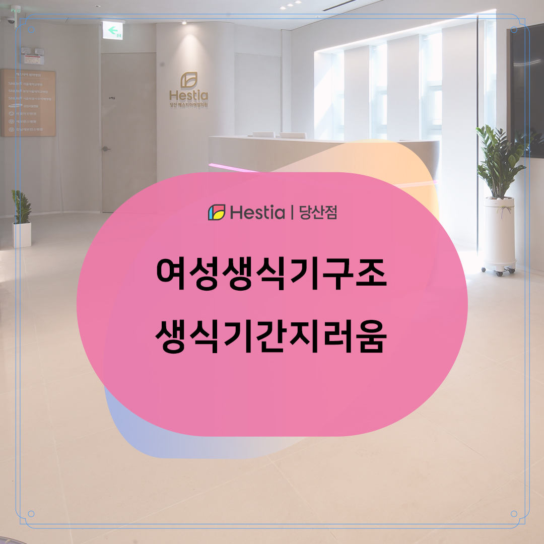 여성생식기구조 간지러움 계속 된다면 문제있는건가요?