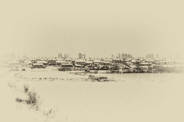 인생의 전환점이 될 줄 알았던 귀촌 착각이였다.