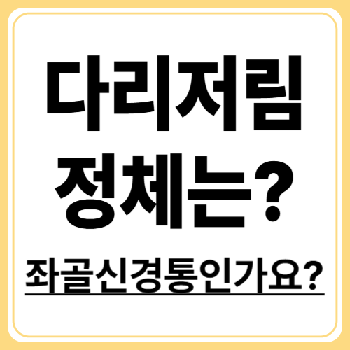 좌골신경통 증상 정리! 허리에서 다리까지 이어지는 통증의 진실