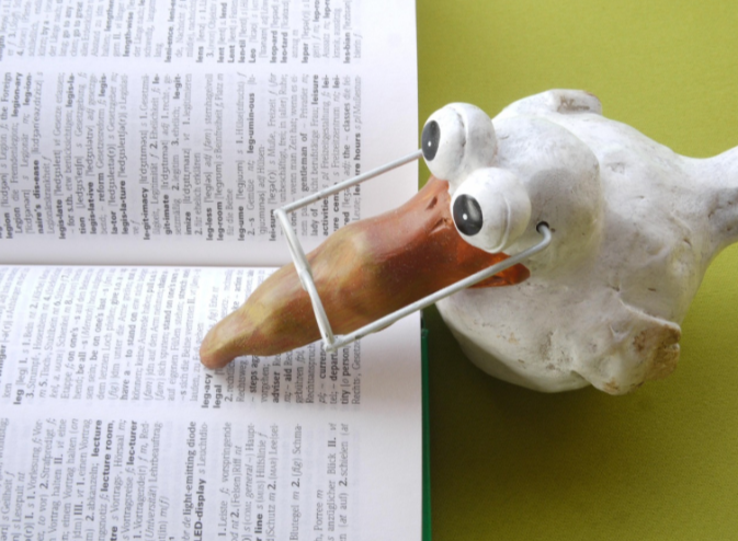 한 달간 외국어 하나만 사용해보기 실험기