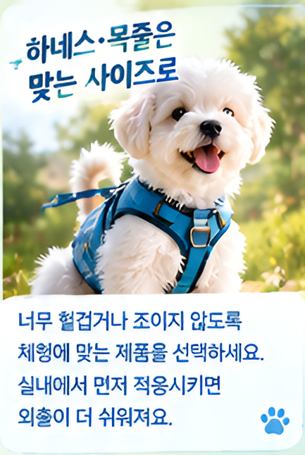 반려견 처음 키울 때 필수 준비물, 체크리스트, 첫날부터 덜 당황하는 준비법