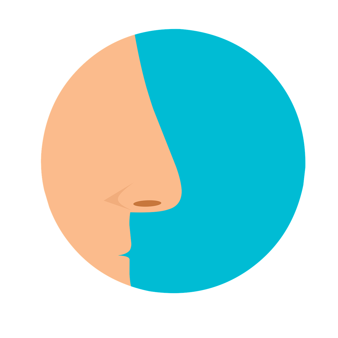 비염의 원인 : 알레르기, 비알레르기