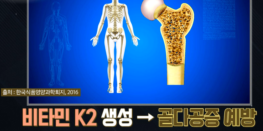 카무트 효능
