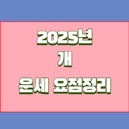 2025년 을사년 개띠 운세를 알아봅시다