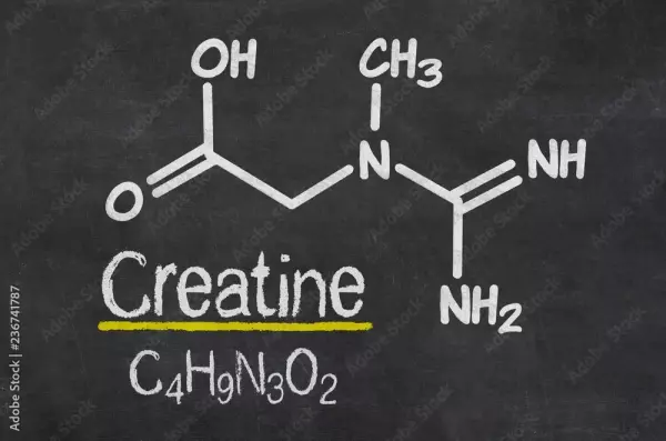 크레아틴(Creatine)