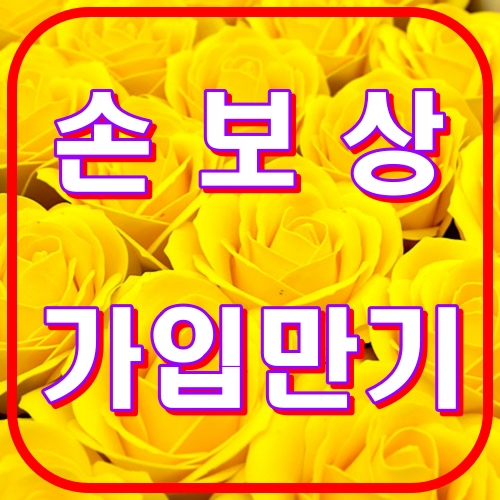손보상 가입만기