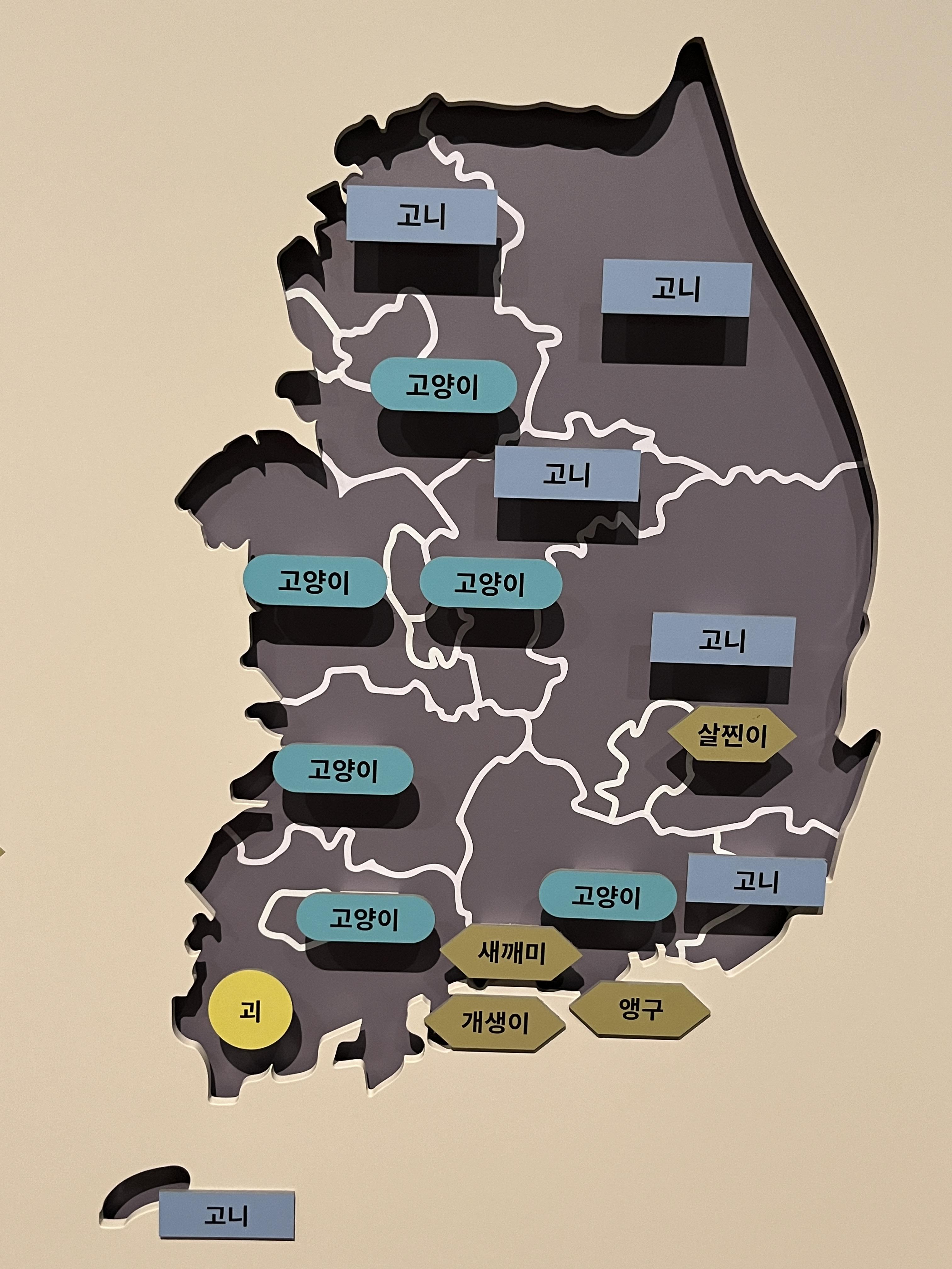 요물 우리를 홀린 고양이