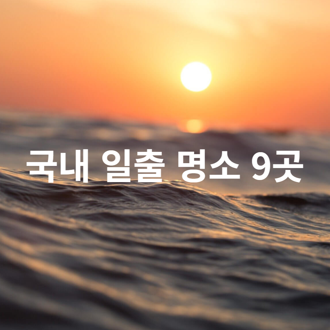 해돋이 사진