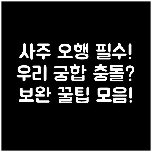 생년월일로 확인하는 궁합, 내 사주 ..