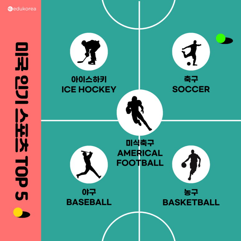 미국에서 가장 인기 많은 스포츠 TOP 5