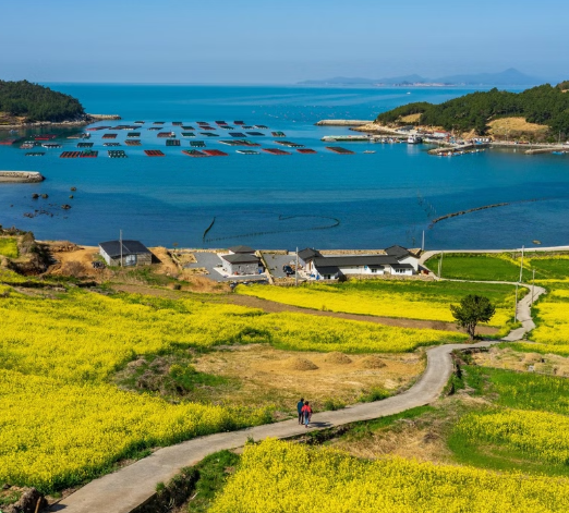 국내 여름 여행지 추천 BEST 5 무더운 여름 시원하게 떠나자