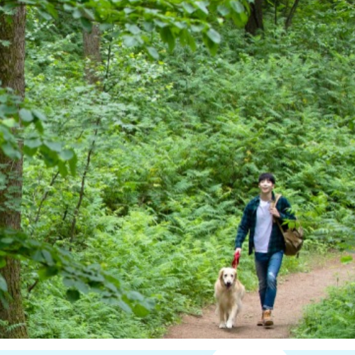 스위치온다이어트