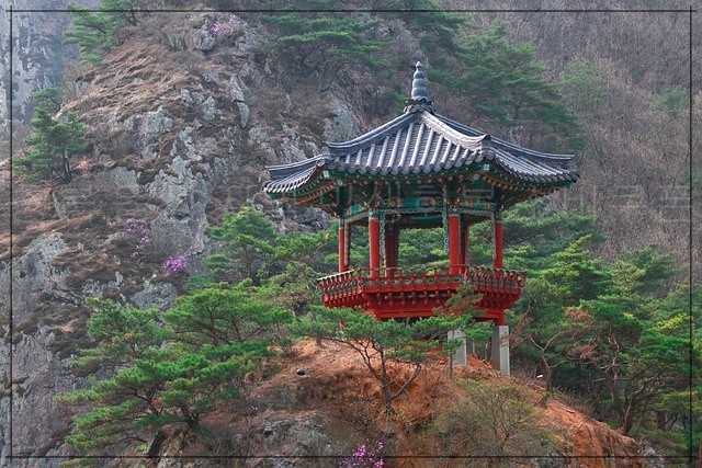 충북 음성군 민생회복 소비쿠폰 신청방법과 사용 꿀팁