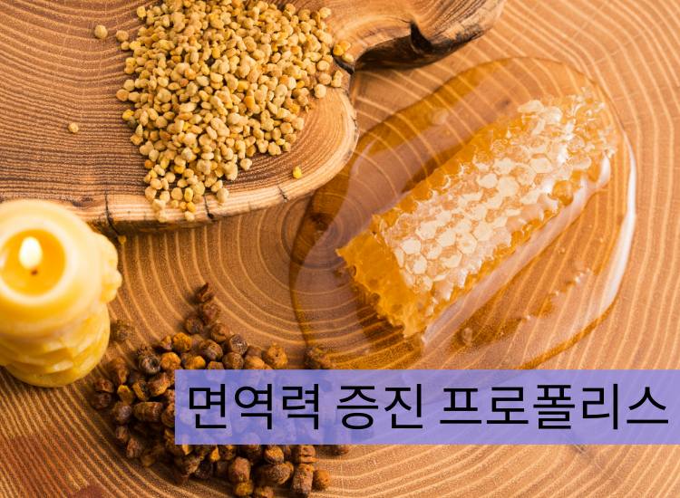 면역력 증진 프로폴리스