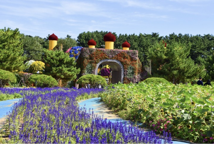 전국 가을 꽃 축제 추천 BEST