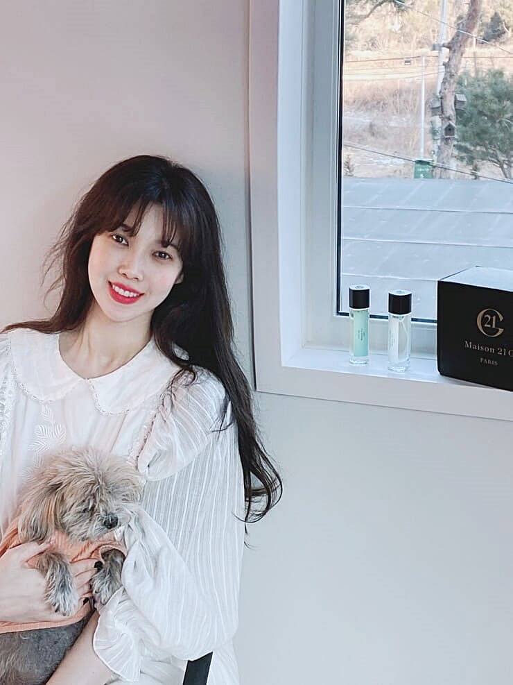배다해