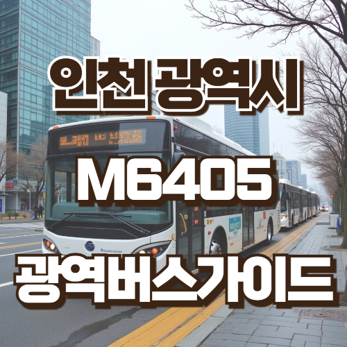 M6405광역버스 가이드
