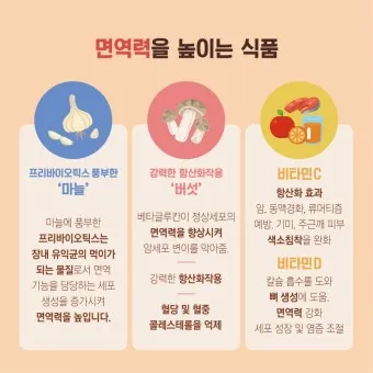 면역력 높이는 하루 루틴과 시간대별 건강 습관_13