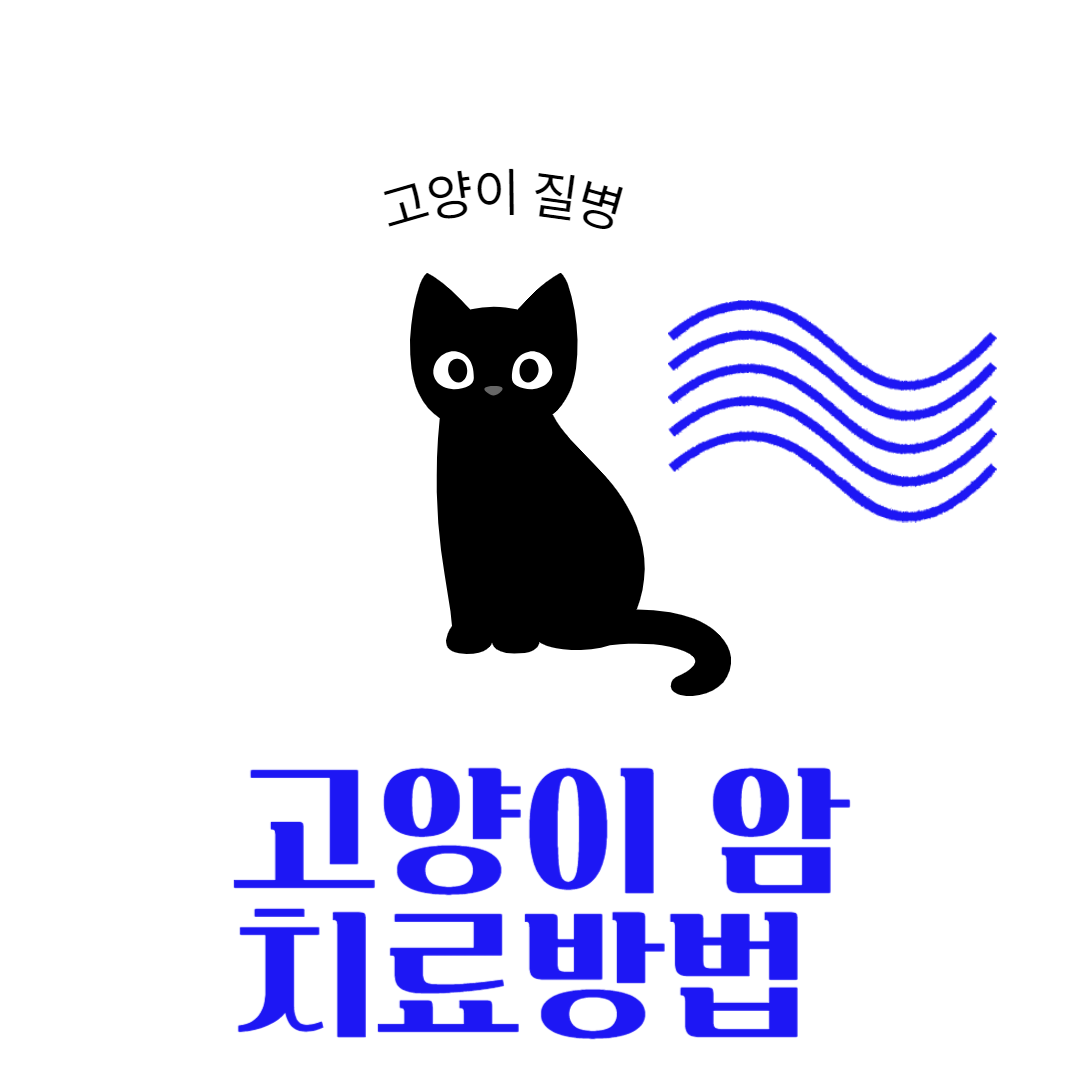 고양이-암-치료