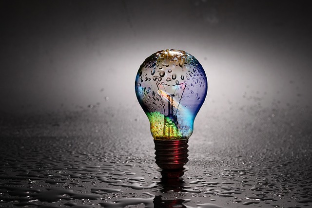 린치핀 세스 고딘 관련 사진