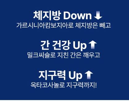 파란통 다이어트 효과 효능