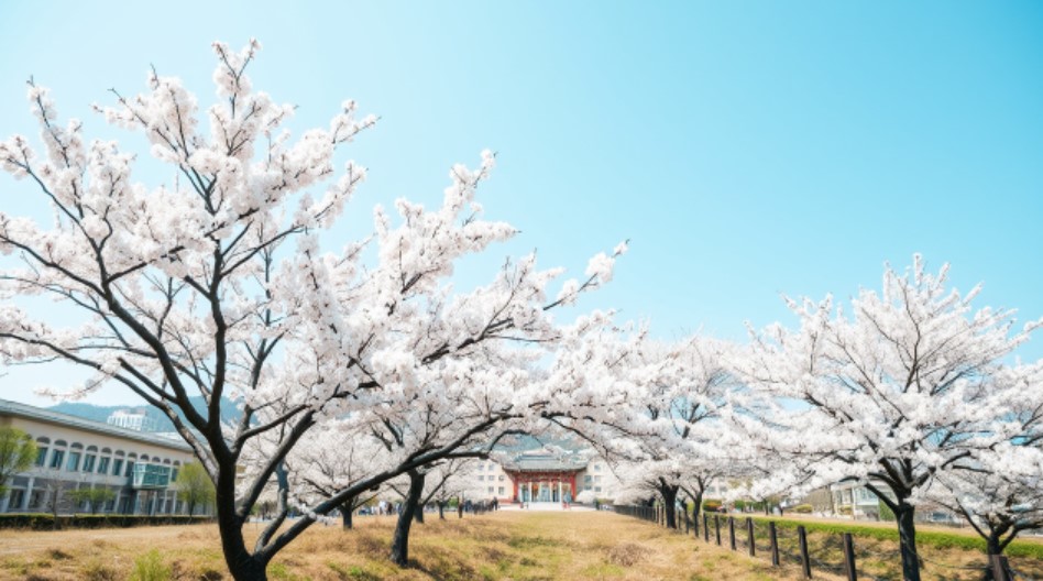 봄에 여행하기 좋은 도시
