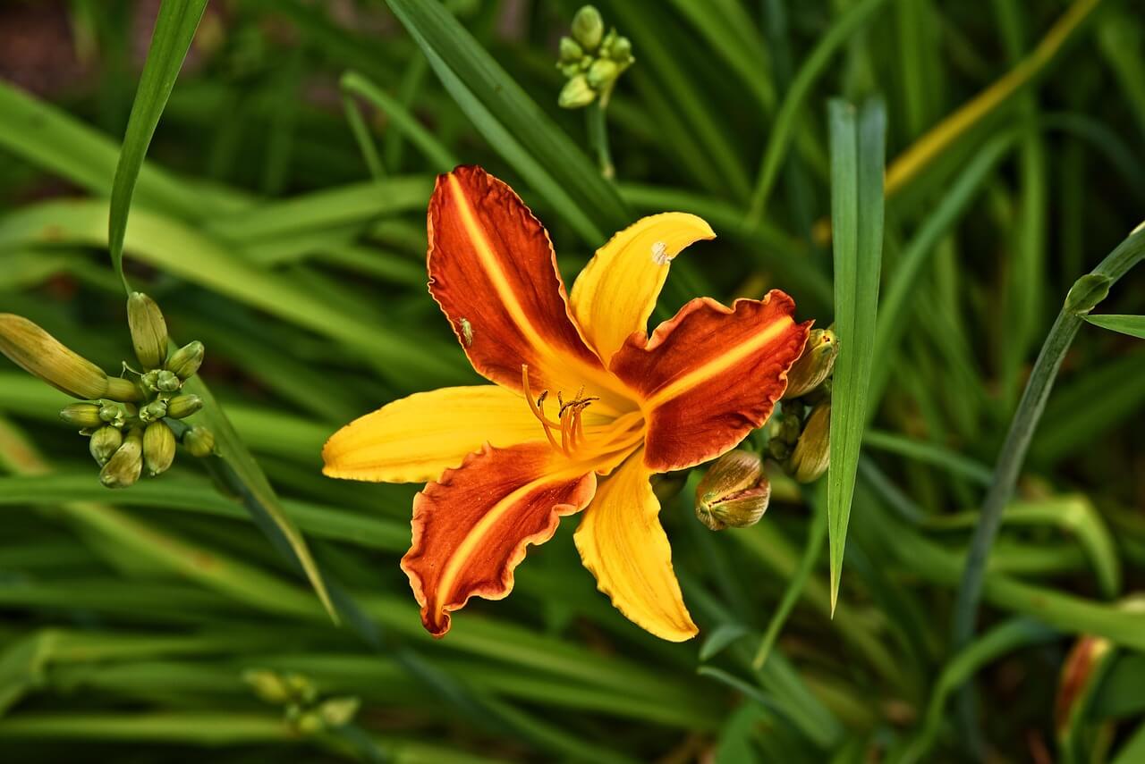 20대 유망 자격증&amp;#44; 알아보기