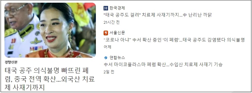 코로나를 폐렴으로 둔갑 시킨 언론들