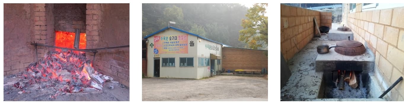 [반려견 동반 여행지, 서울 근교]포천 국립수목원 반려견과의 숲속 산책, 여기가 진짜 힐링이다