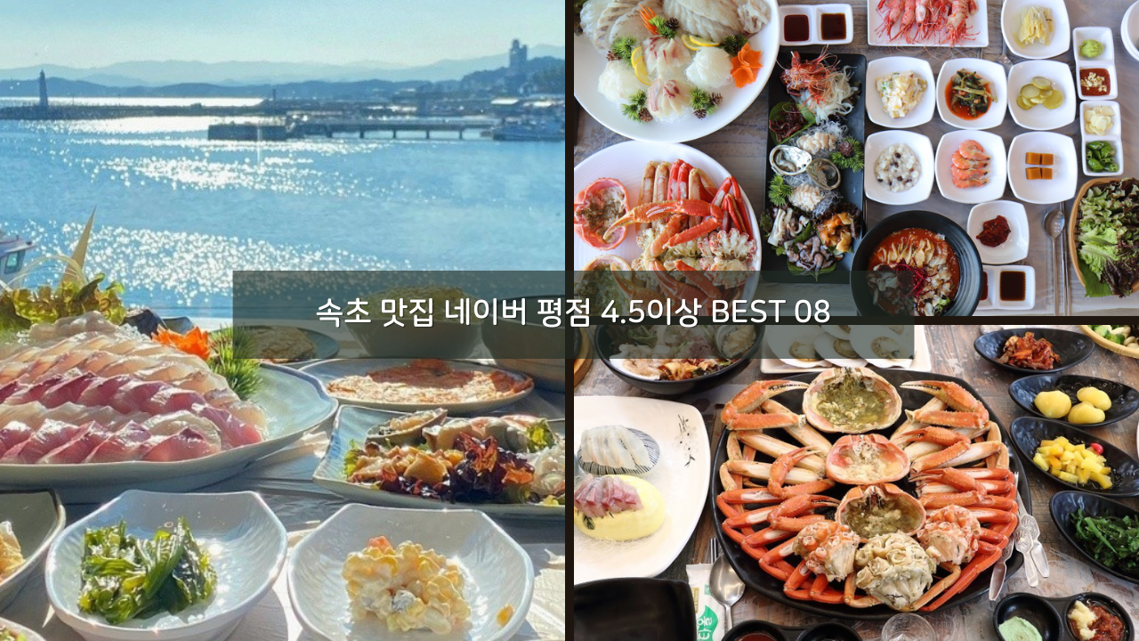 속초 맛집 네이버 평점 4.5이상 BEST 08 정리