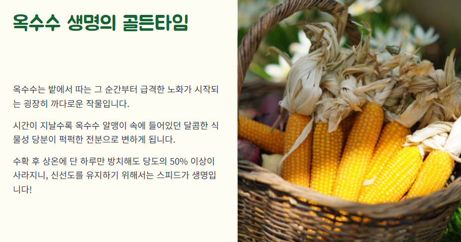 옥수수 보관방법