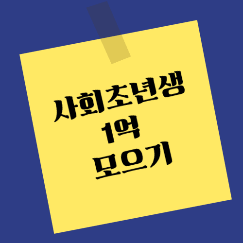 사회 초년생 1억 모으기