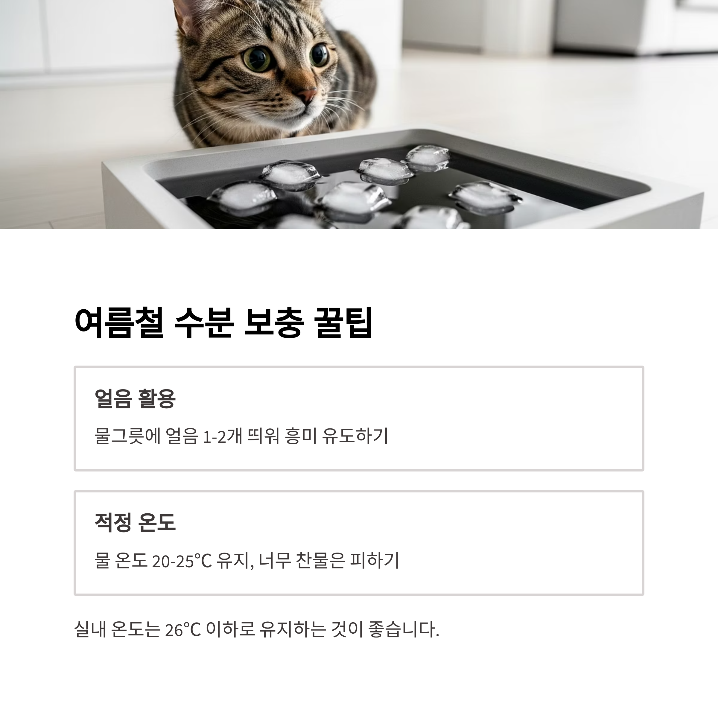 여름철 수분 보충 꿀팁